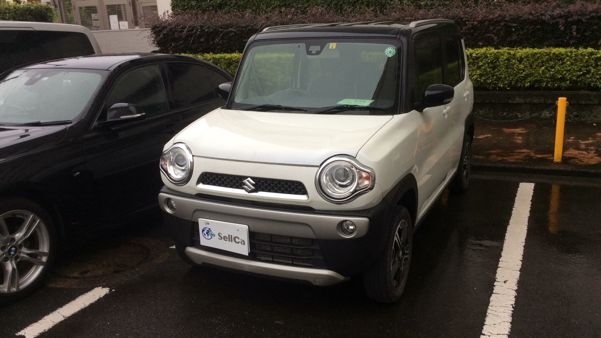 スズキ ハスラーの売買実績画像