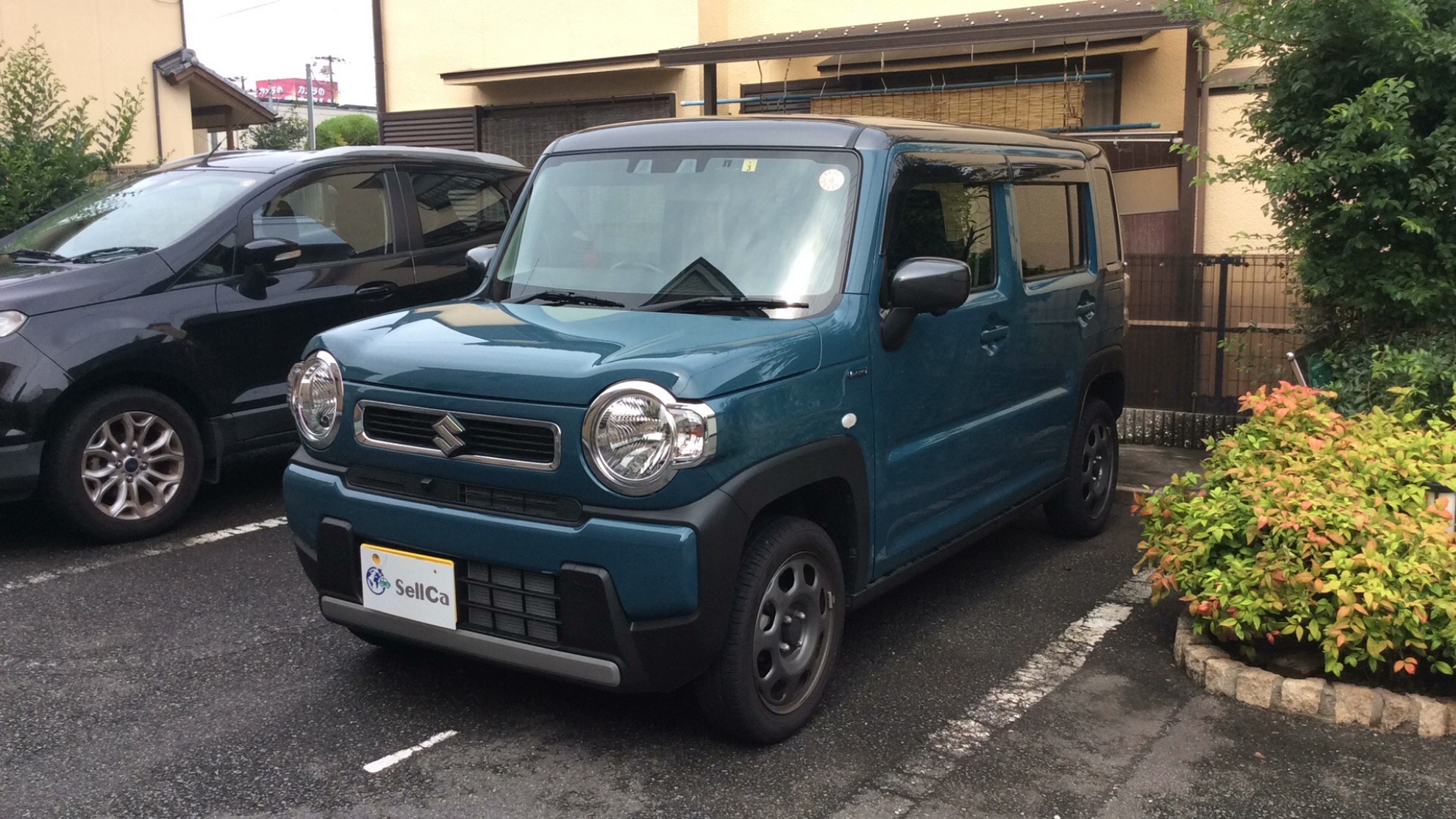 スズキ ハスラーの売買実績画像