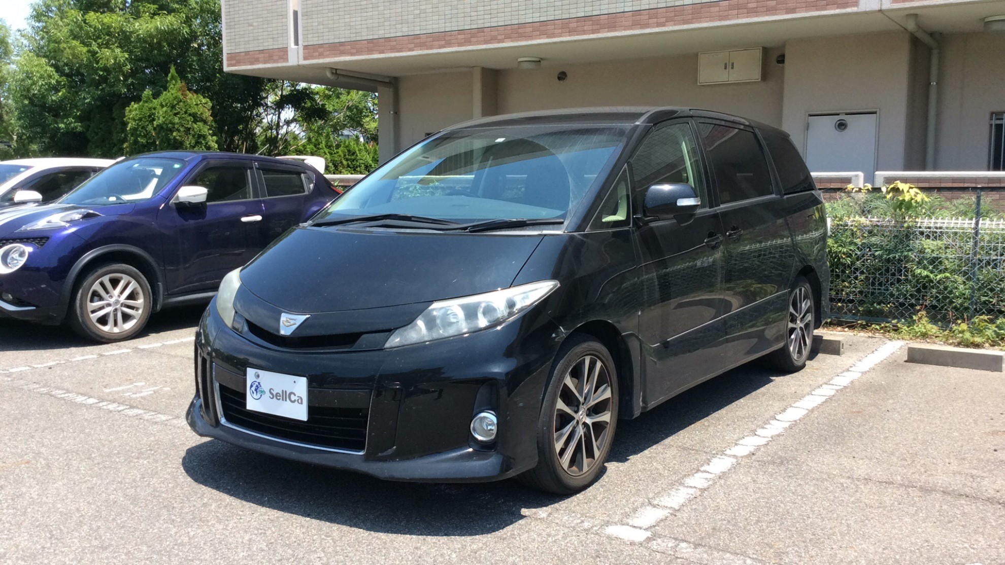 トヨタ エスティマの売買実績画像