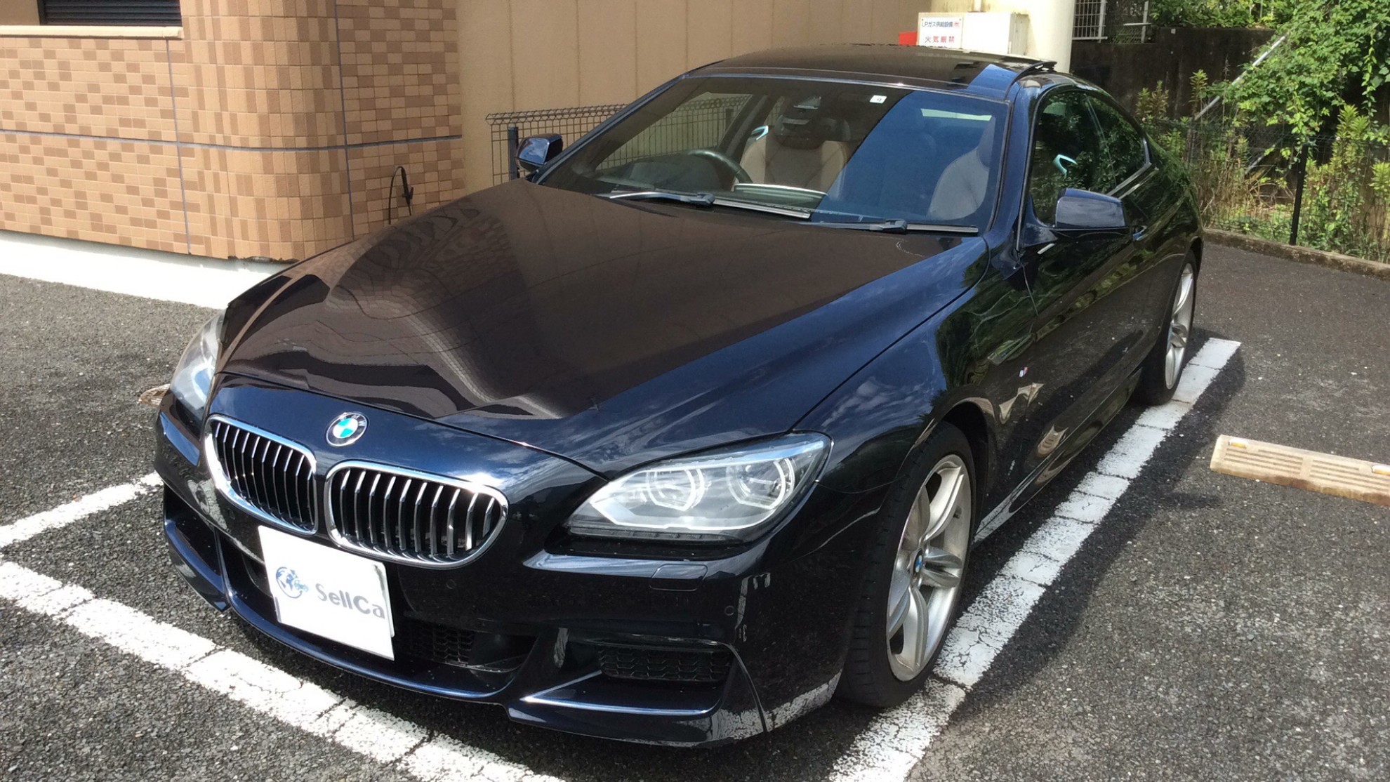 ＢＭＷ ６シリーズの売買実績画像