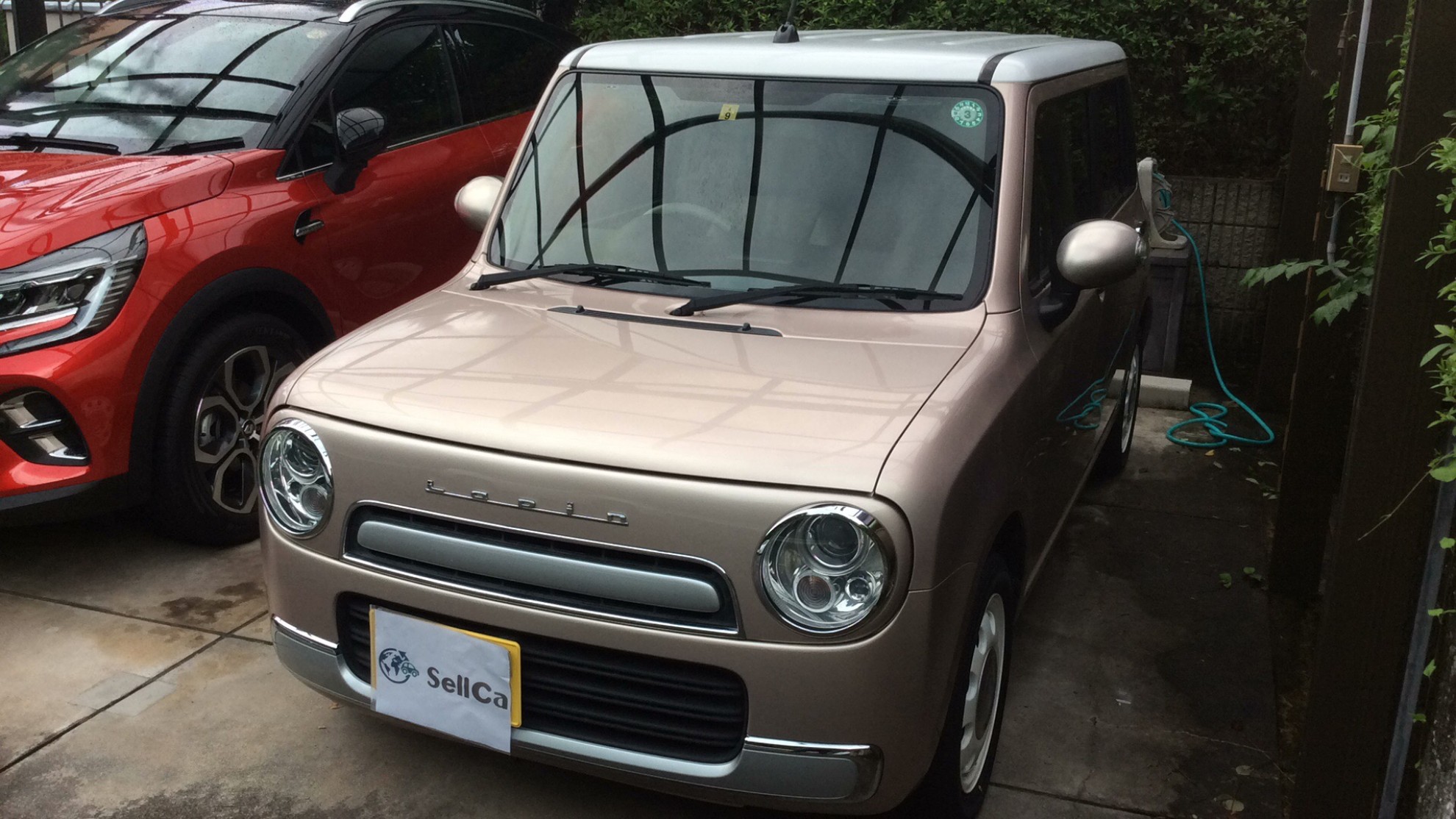 スズキ アルトラパンショコラの売買実績画像