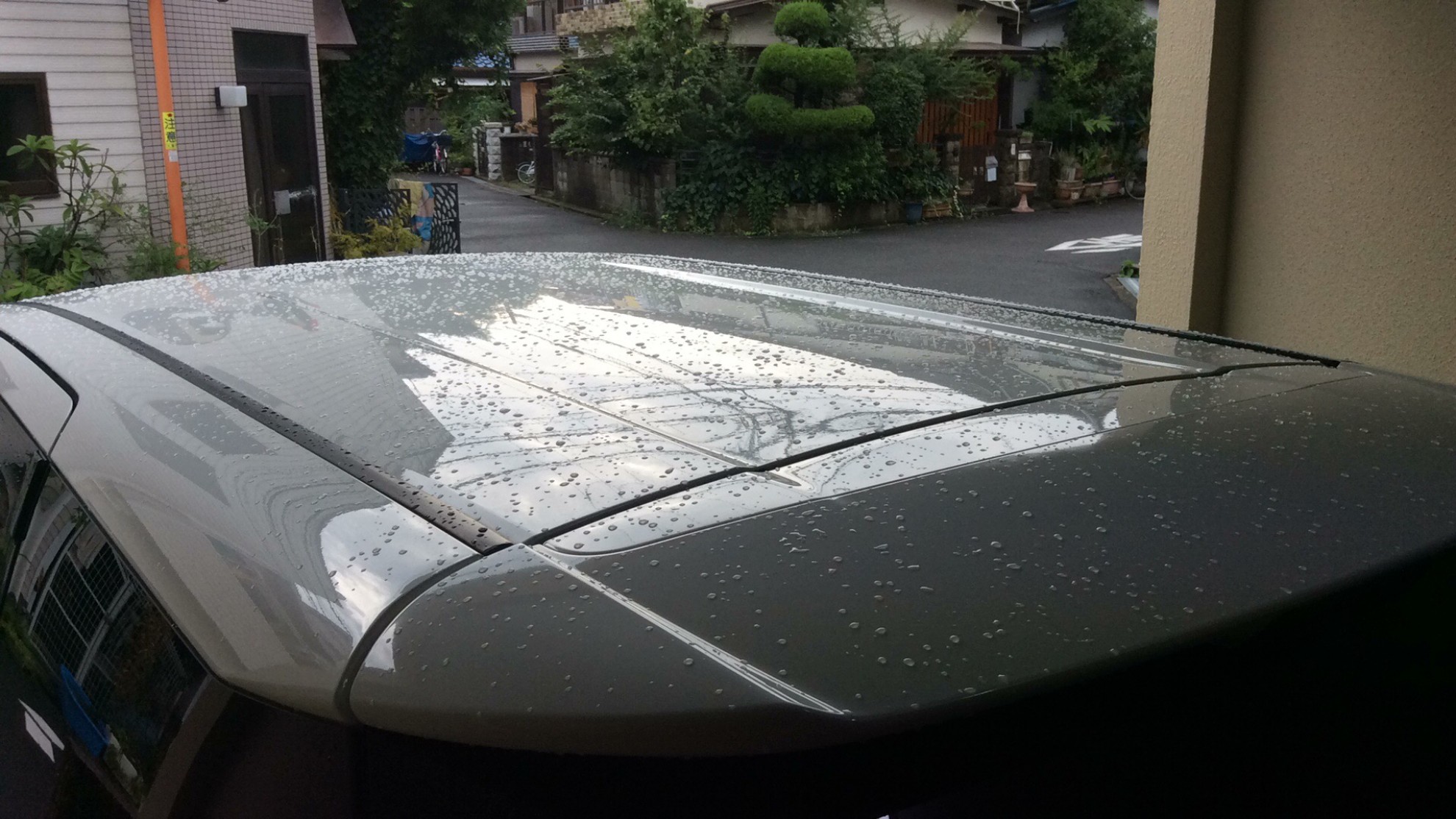 正面ルーフ