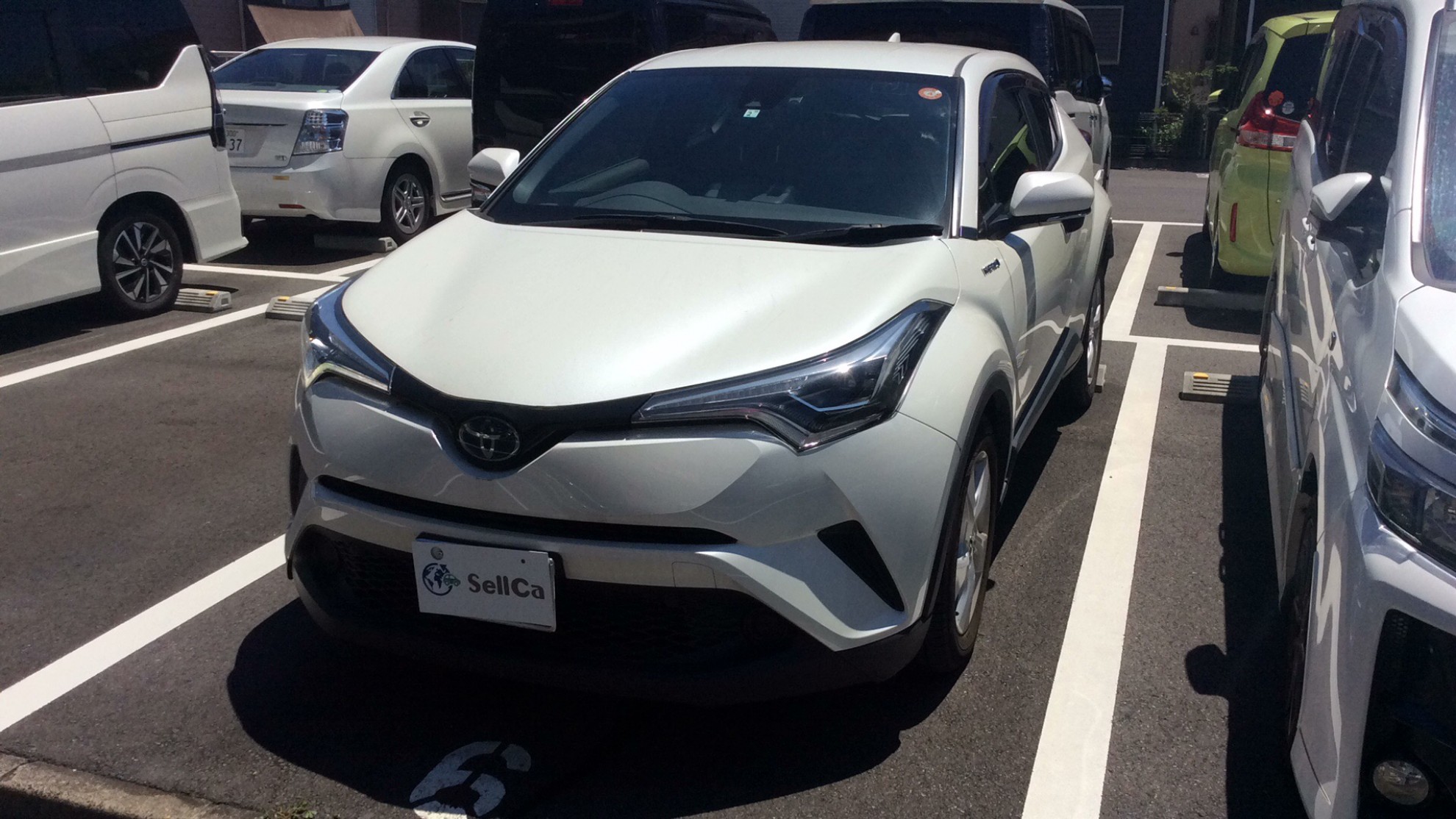 トヨタ Ｃ－ＨＲの売買実績画像