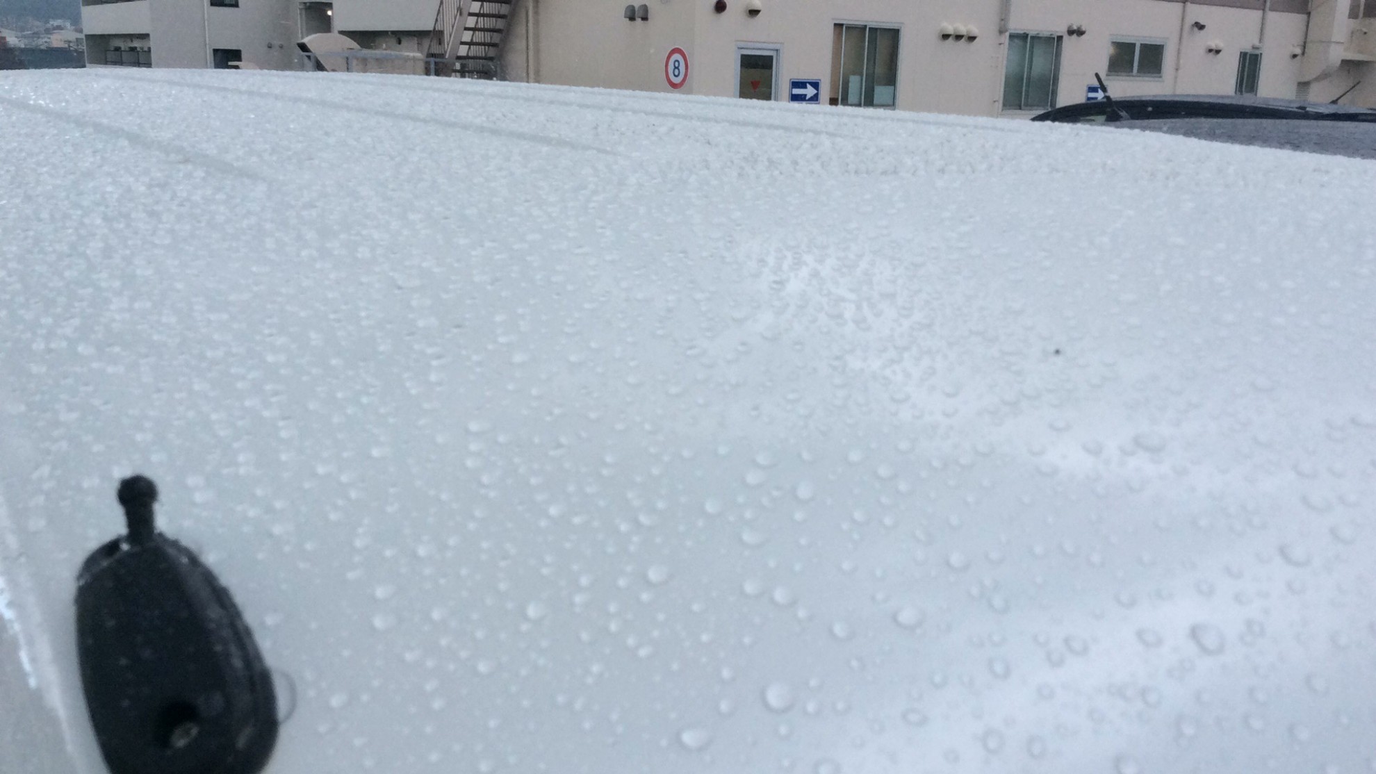 正面ルーフ
