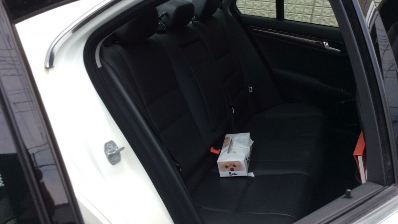 内装後方シート