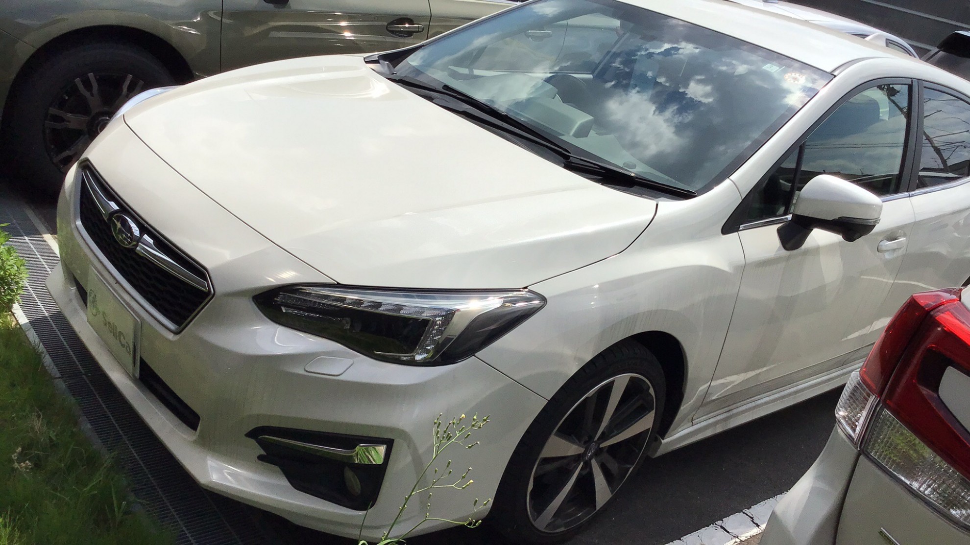 スバル インプレッサスポーツの売買実績画像