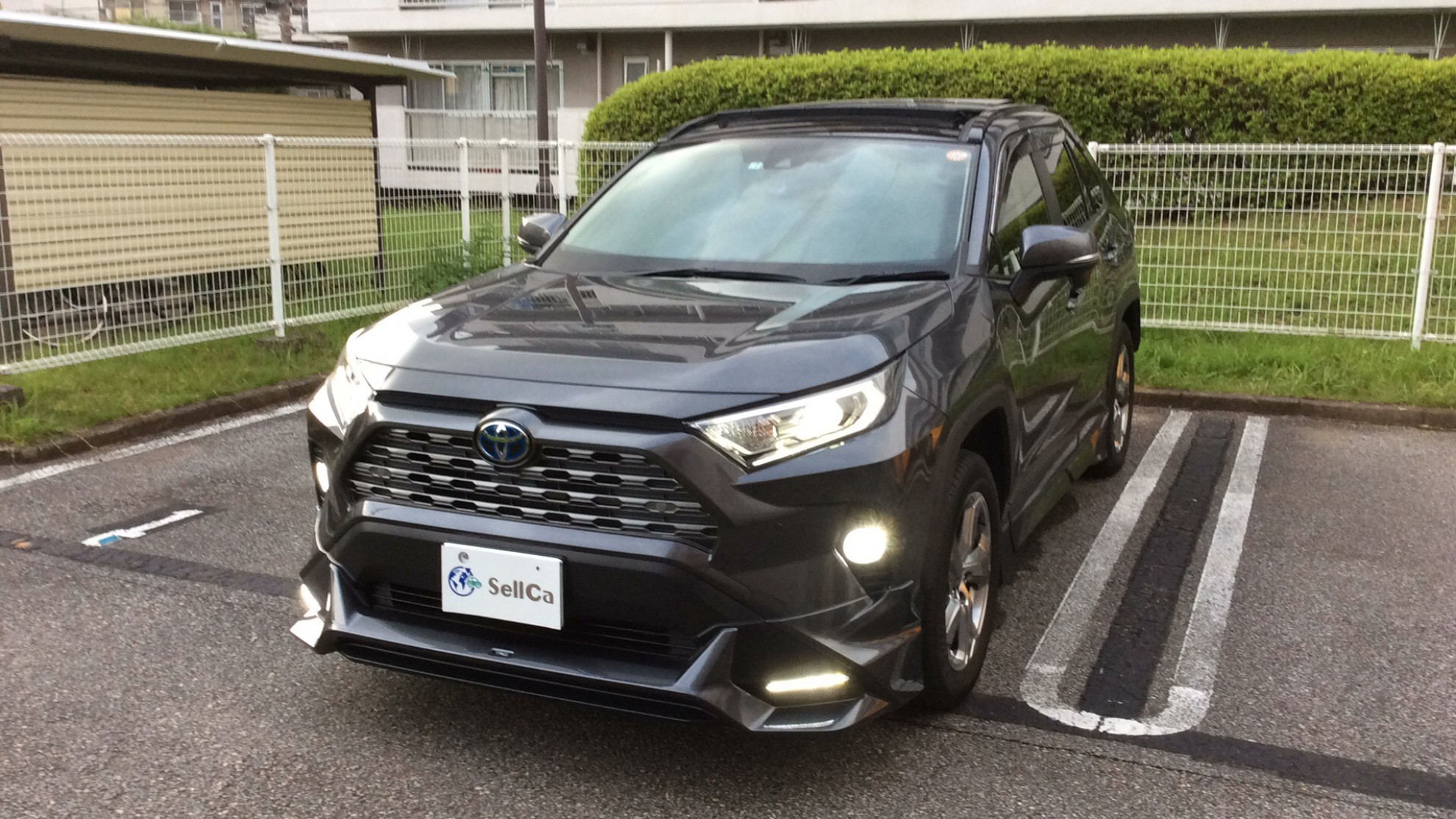トヨタ ＲＡＶ４の売買実績画像