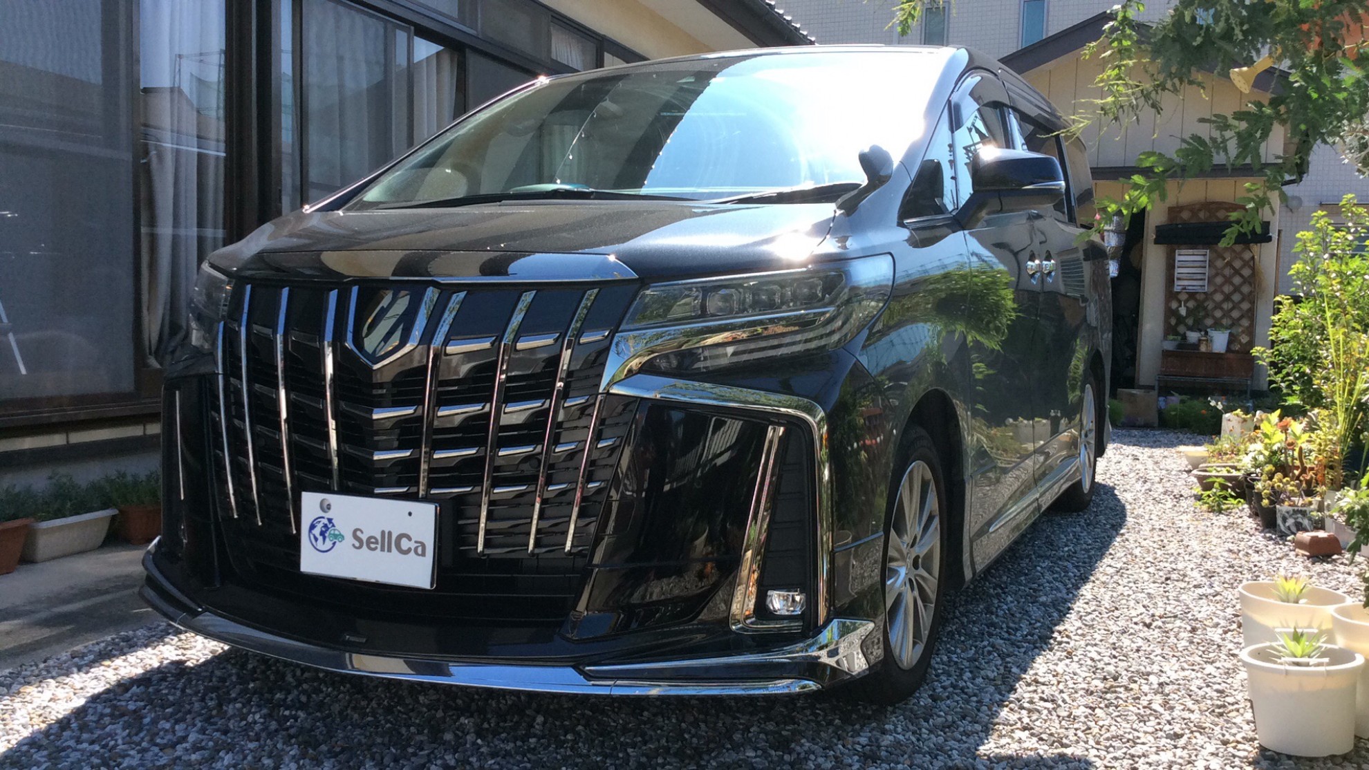 トヨタ アルファードの売買実績画像