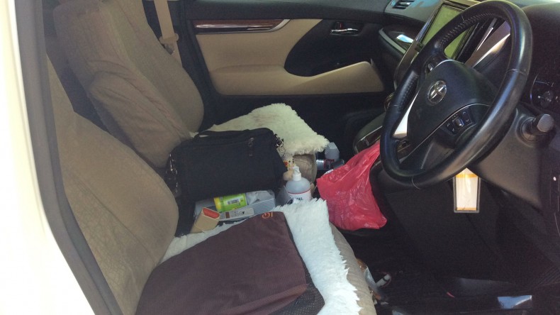 内装前方シート