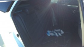 内装後方シート