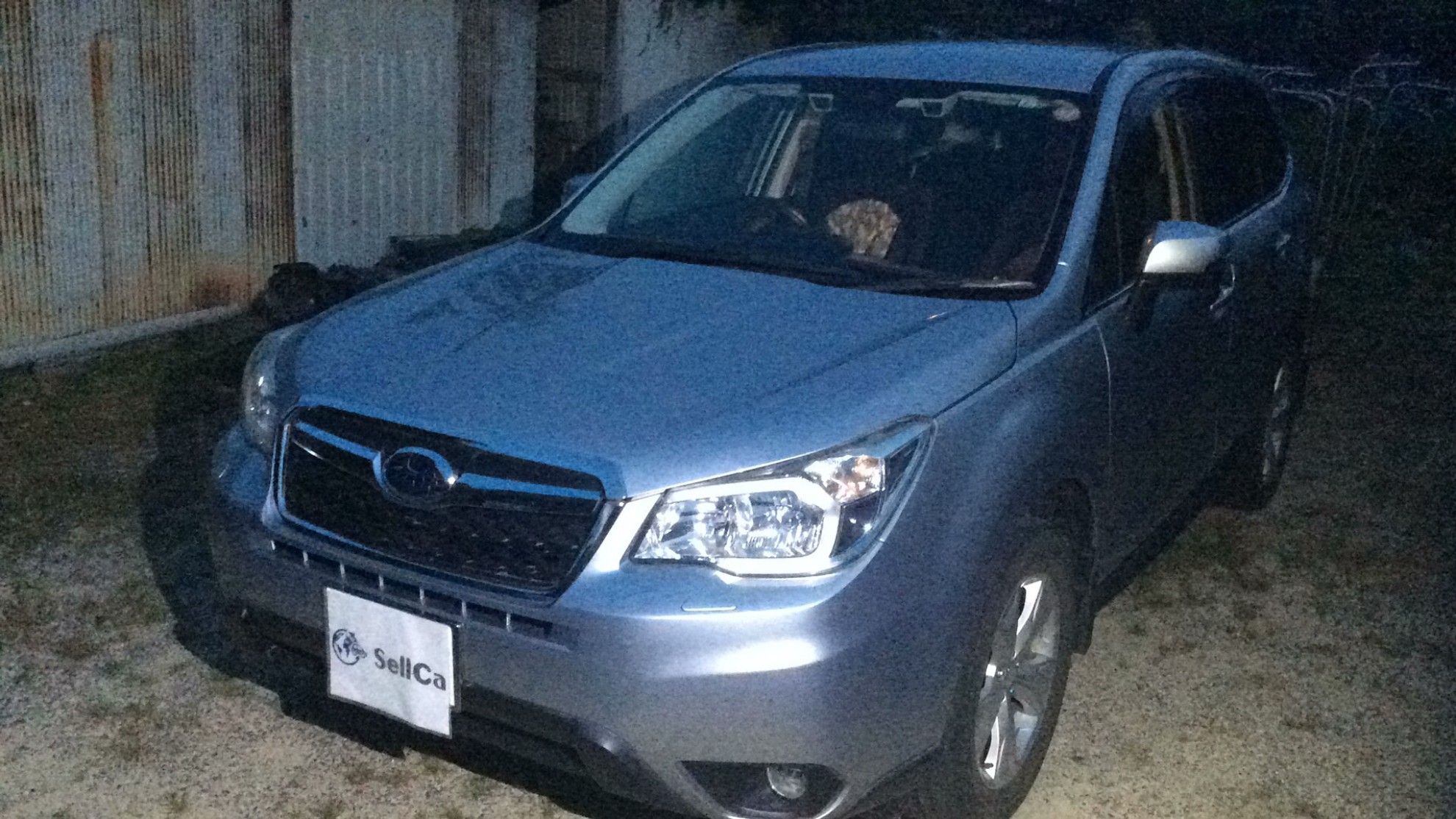 スバル フォレスターの売買実績画像