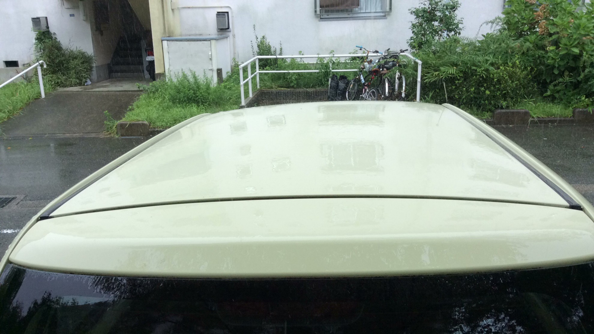 正面ルーフ