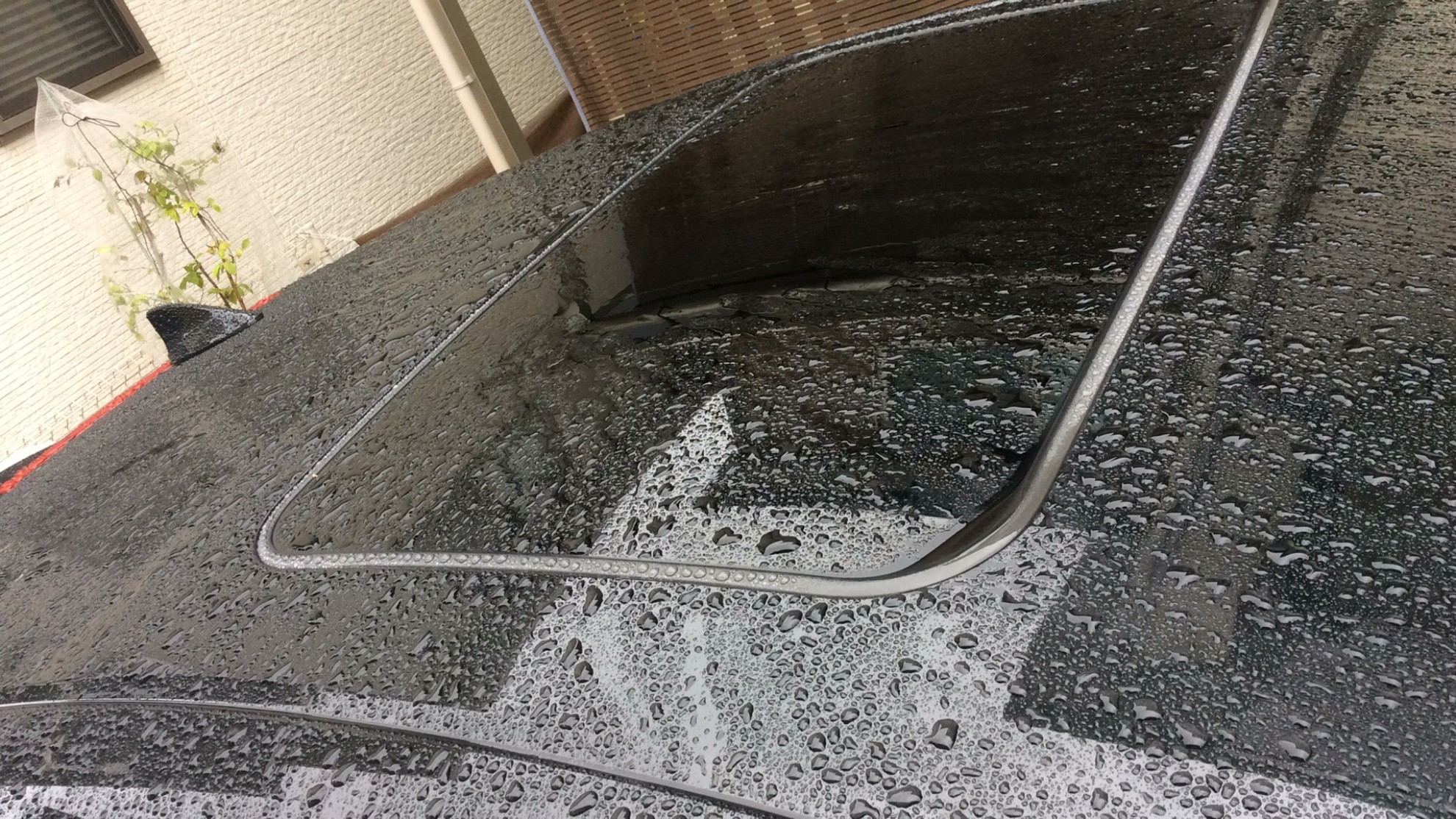 正面ルーフ