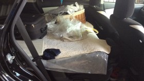 内装後方シート