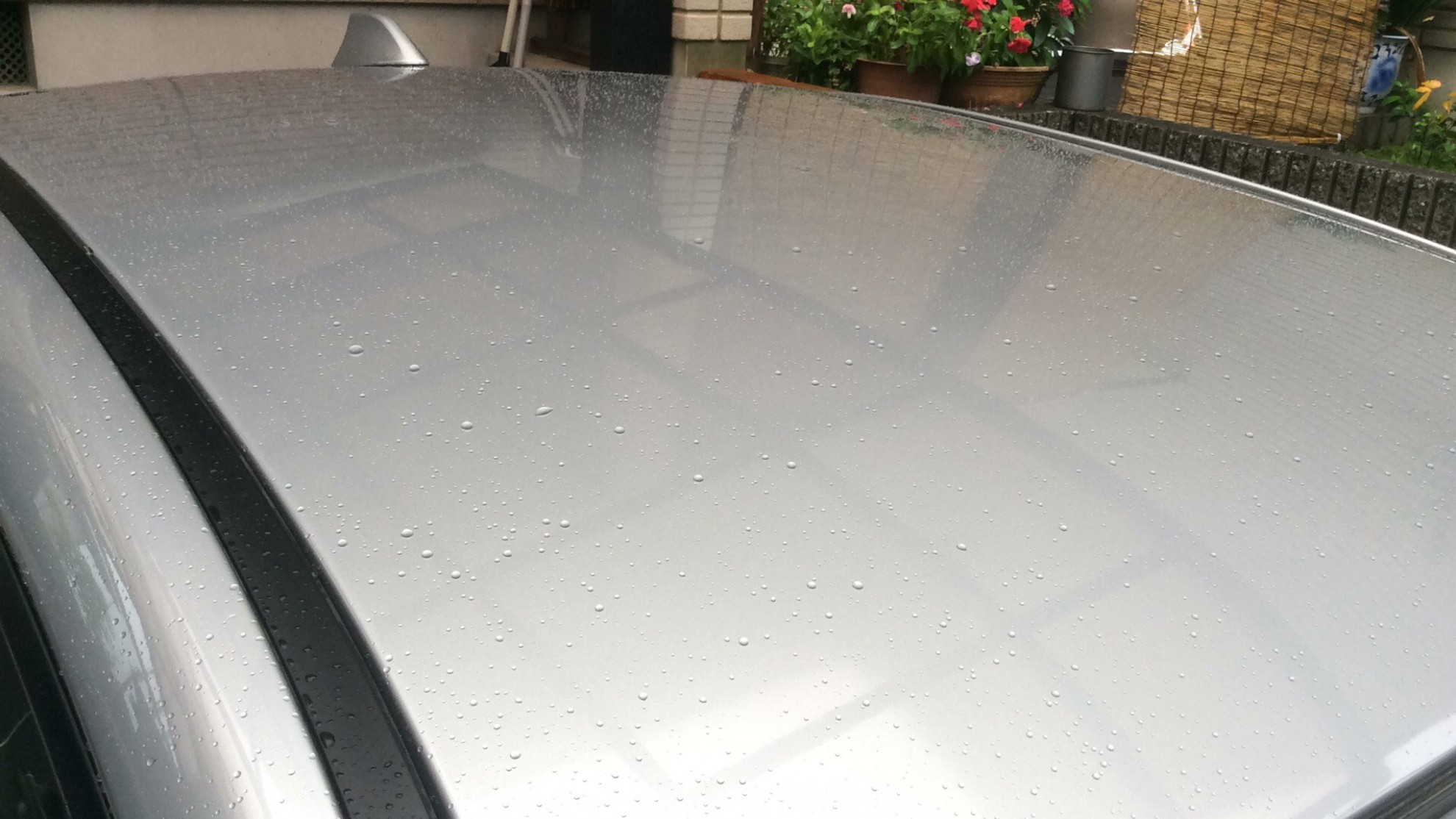 正面ルーフ