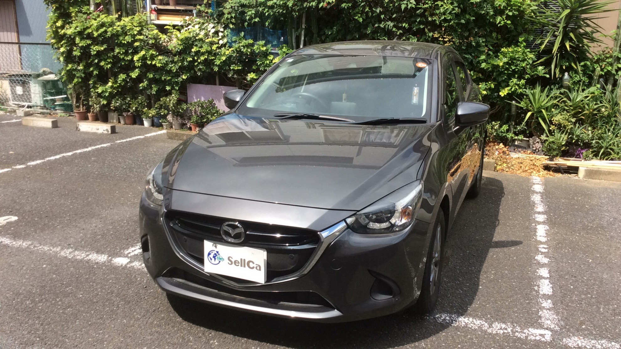 マツダ デミオの売買実績画像