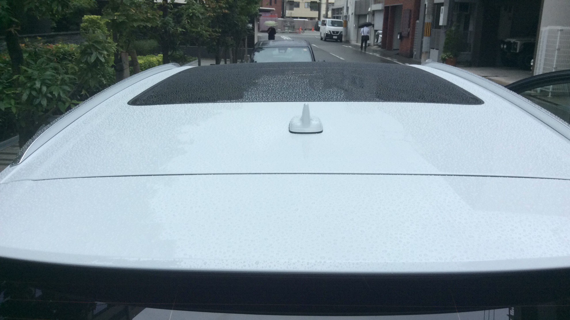 正面ルーフ