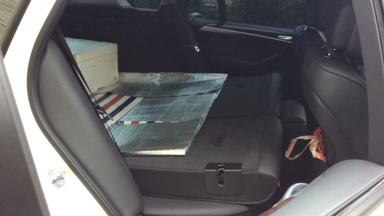 内装後方シート