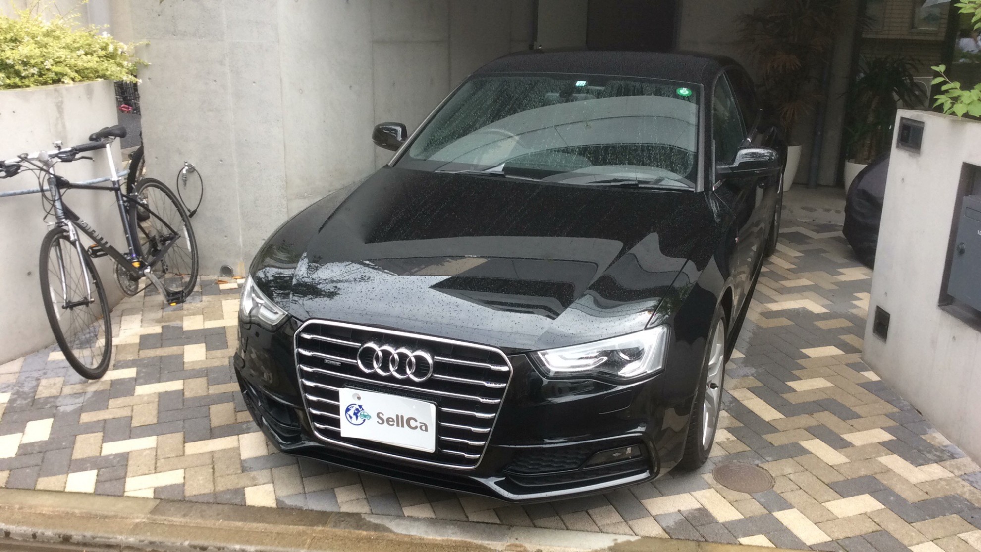 アウディ Ａ５スポーツバックの売買実績画像