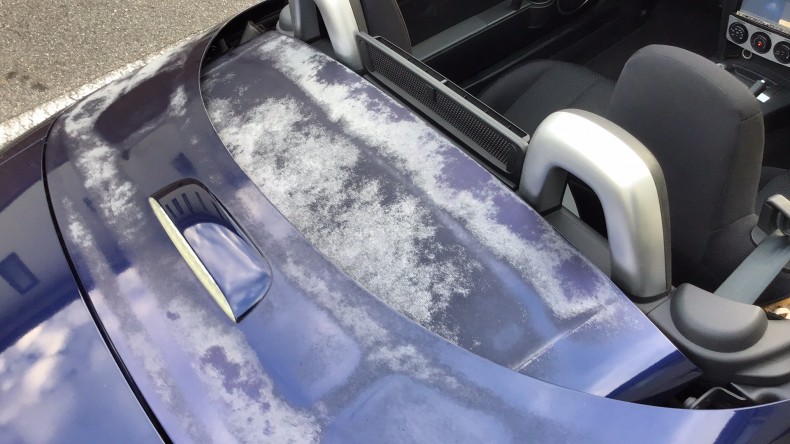 内装後方シート