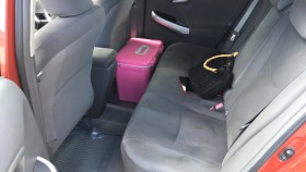 内装後方シート