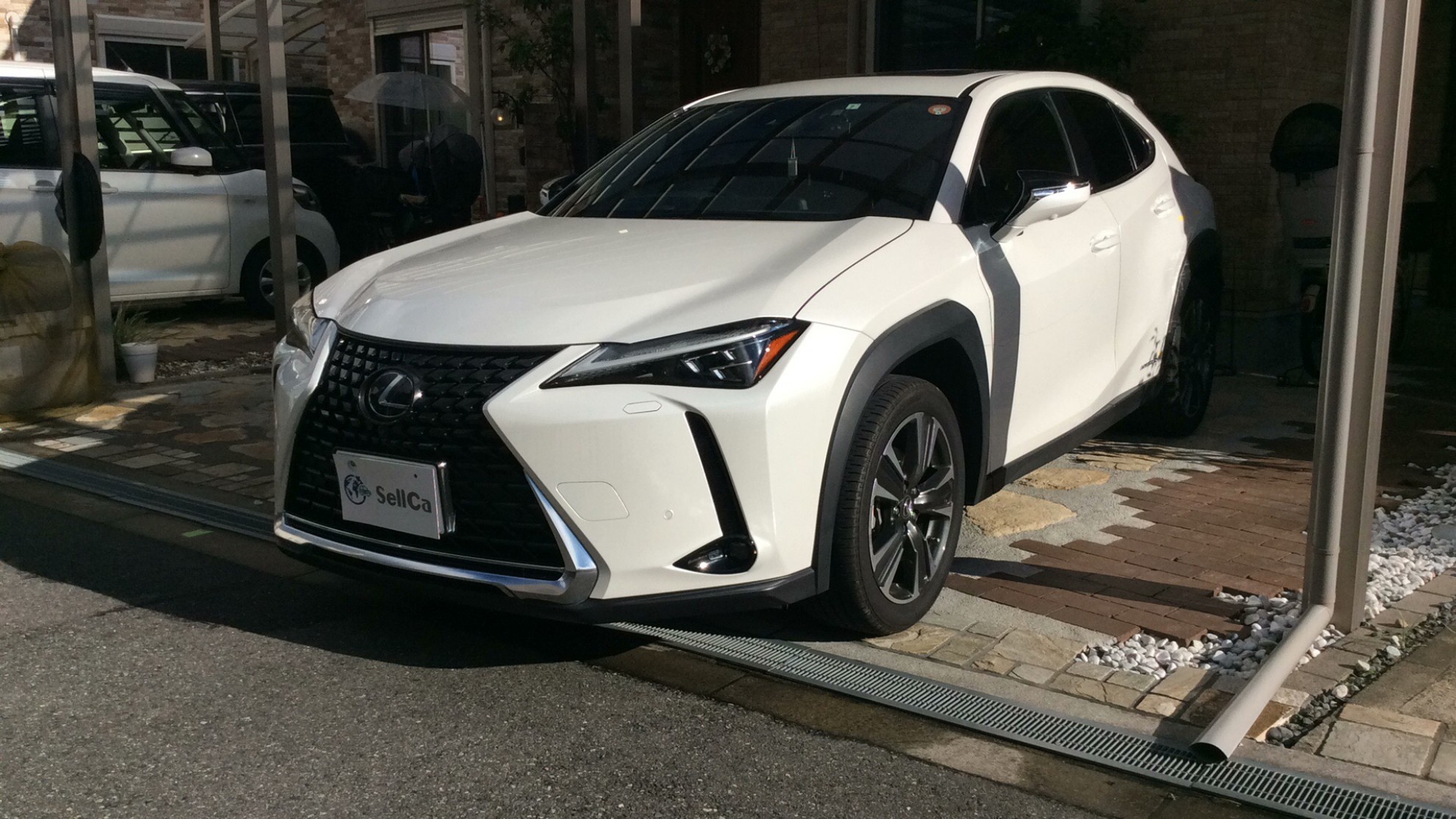 レクサス ＵＸの売買実績画像