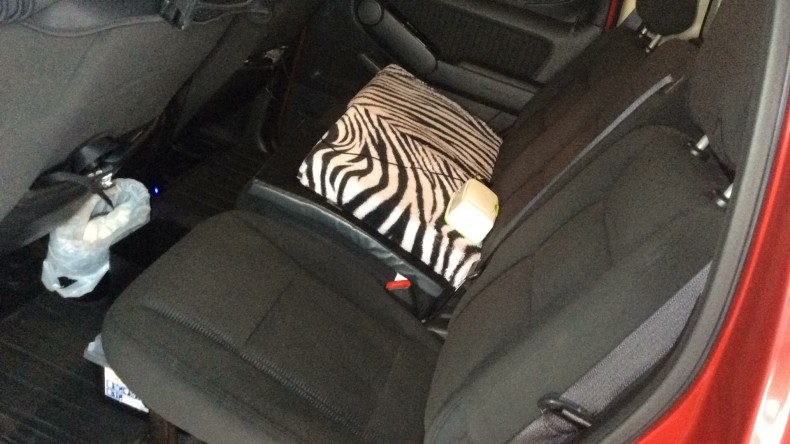 内装後方シート