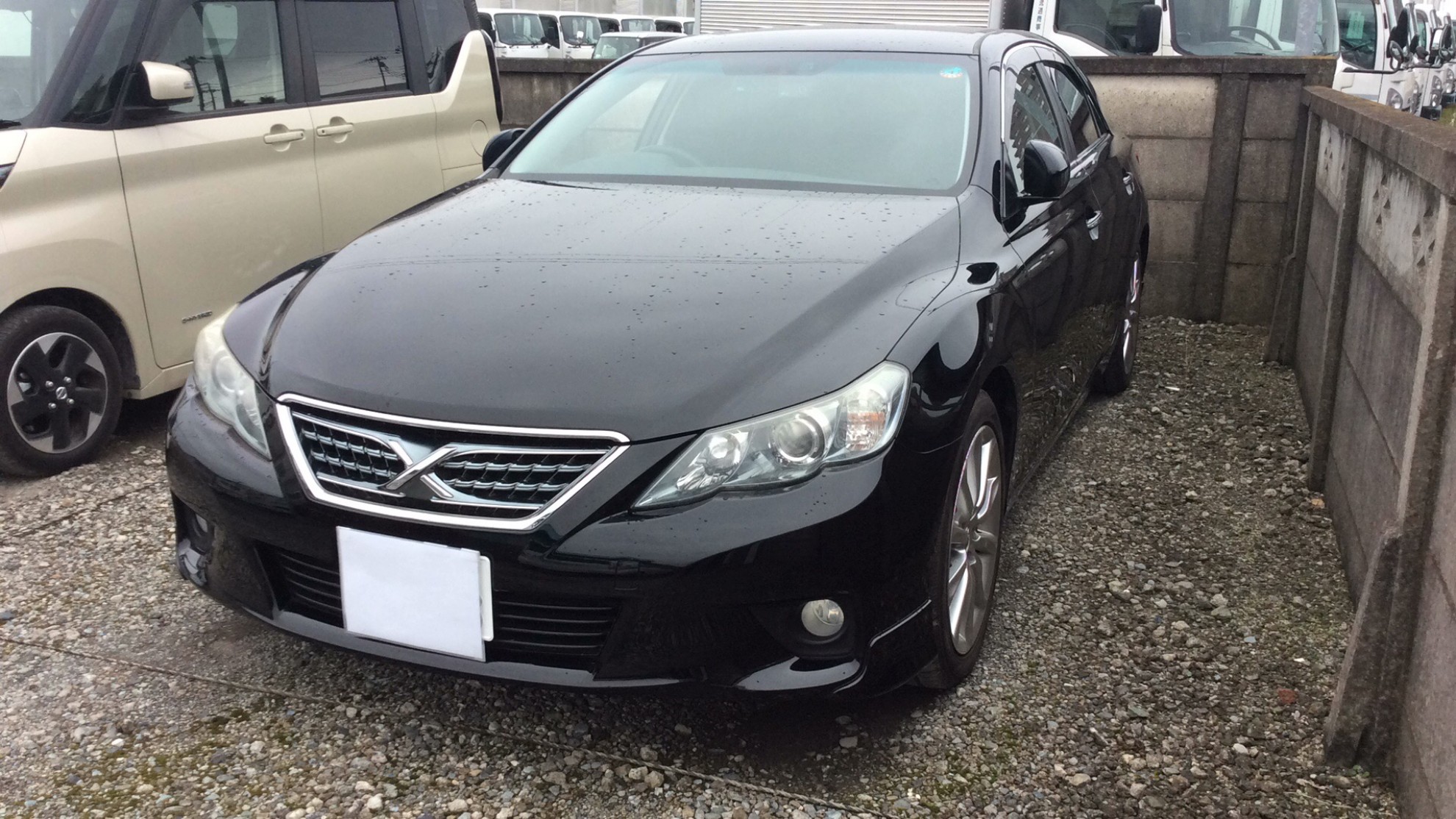 トヨタ マークＸの売買実績画像