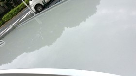 正面ルーフ