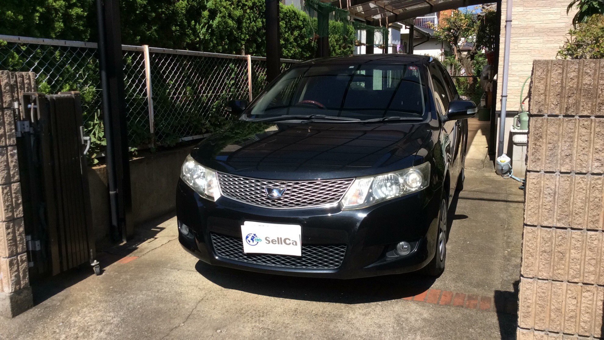 トヨタ アリオンの売買実績画像