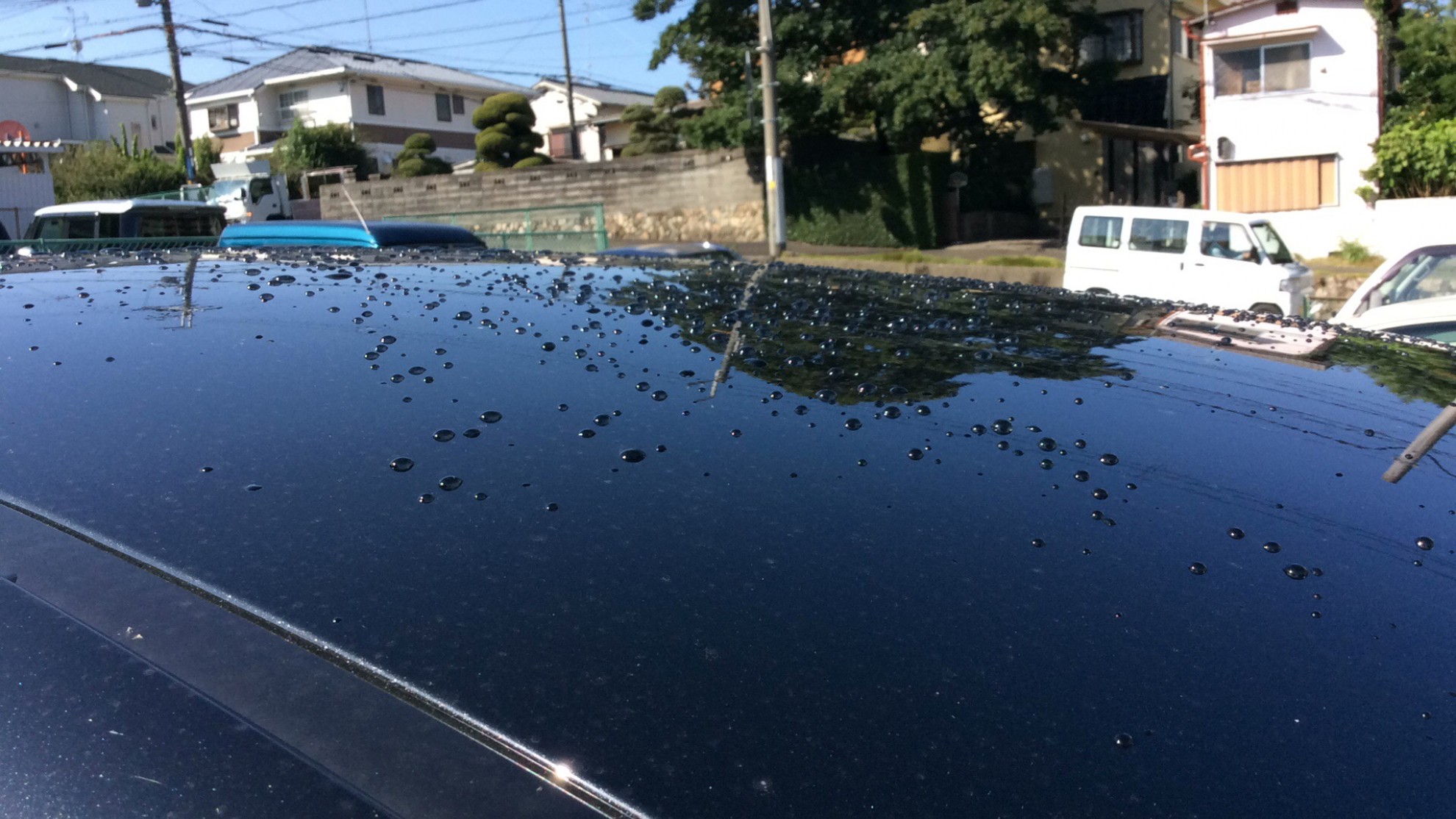 正面ルーフ