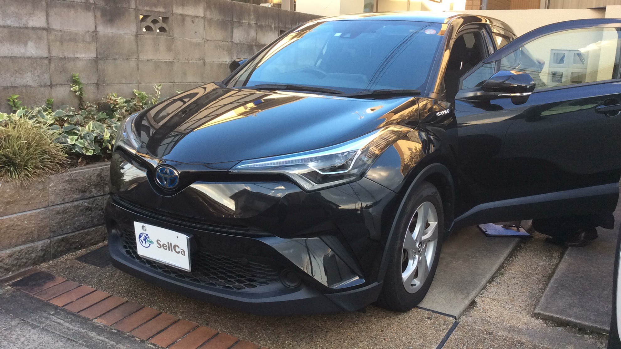 トヨタ Ｃ－ＨＲの売買実績画像