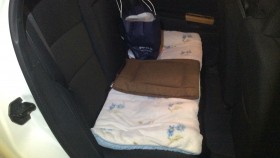 内装後方シート