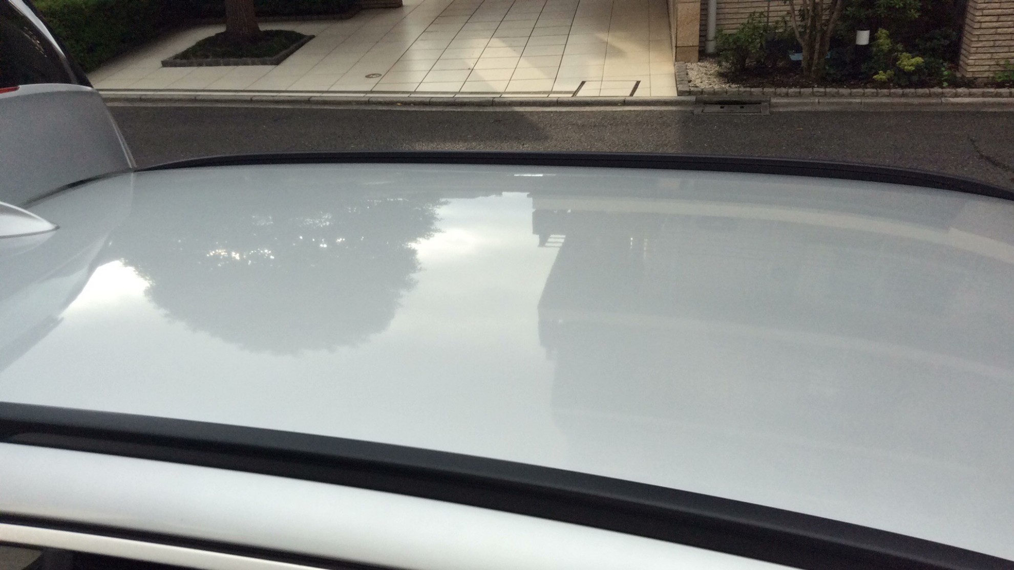 正面ルーフ