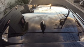 正面ルーフ