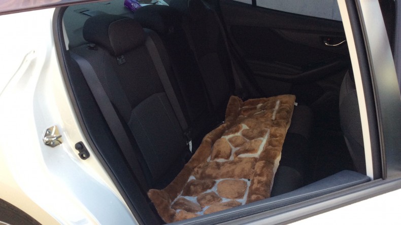 内装後方シート