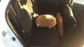 内装後方シート