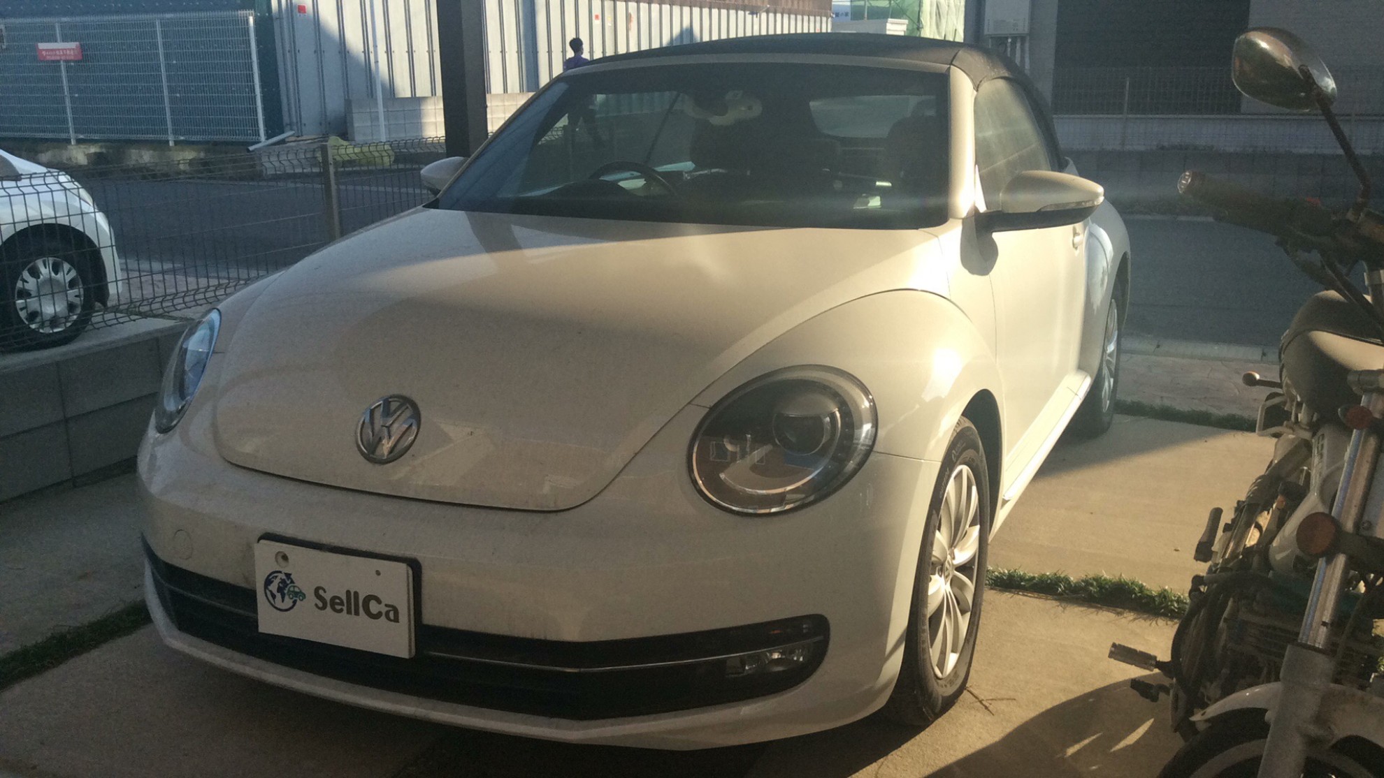 フォルクスワーゲン ザ・ビートル・カブリオレの売買実績画像