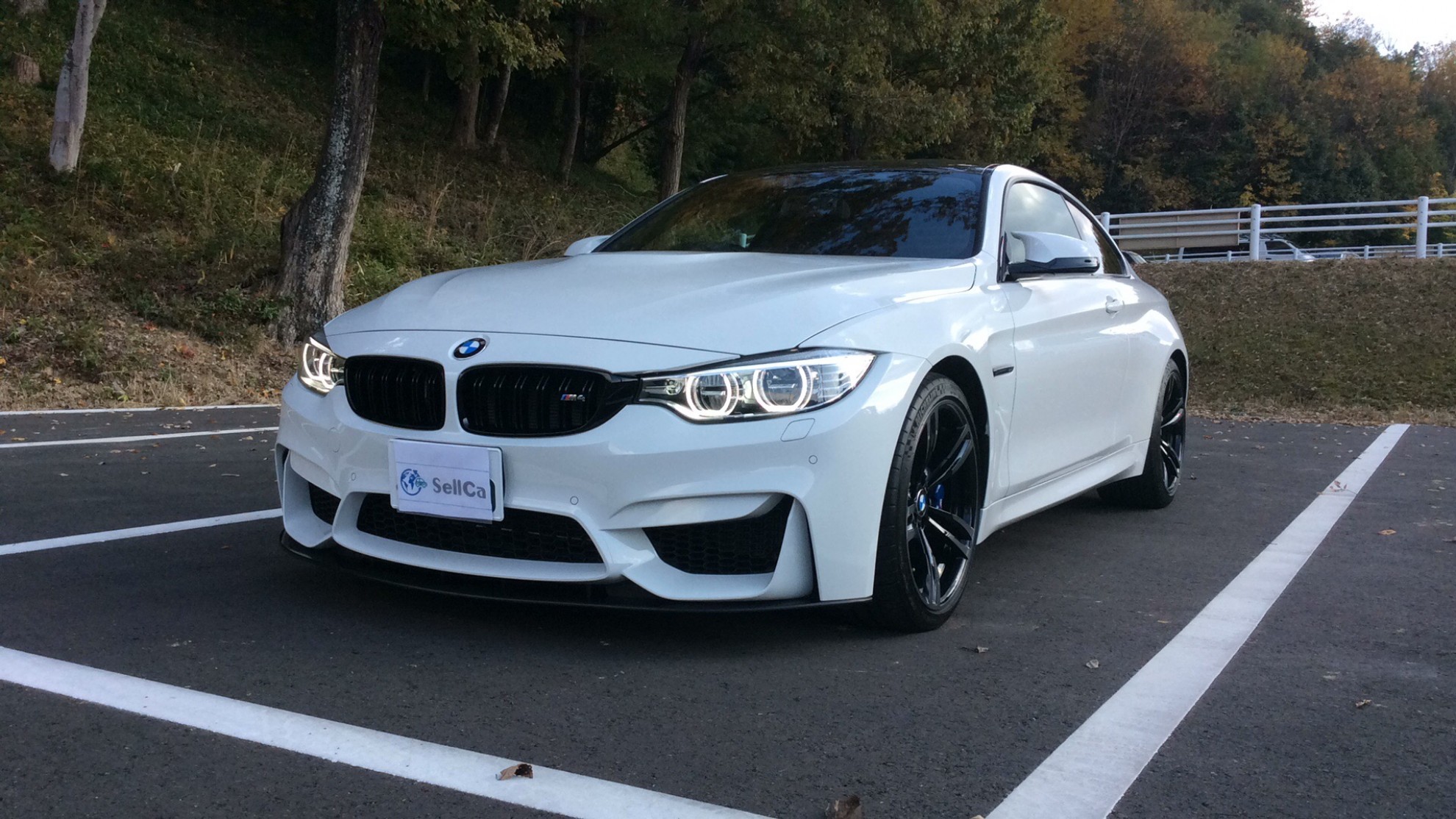 ＢＭＷ Ｍ４の売買実績画像
