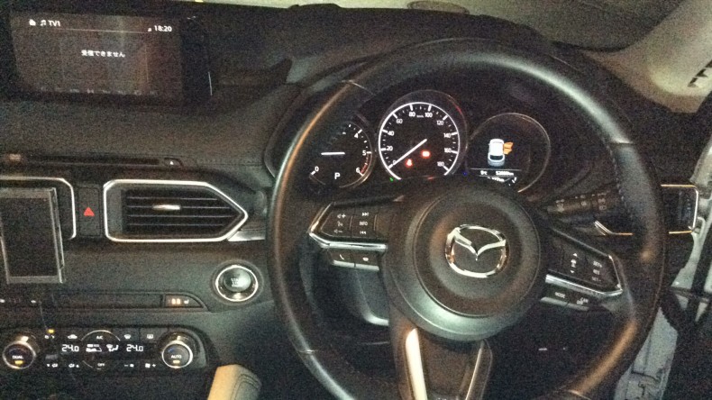 内装インパネ全体