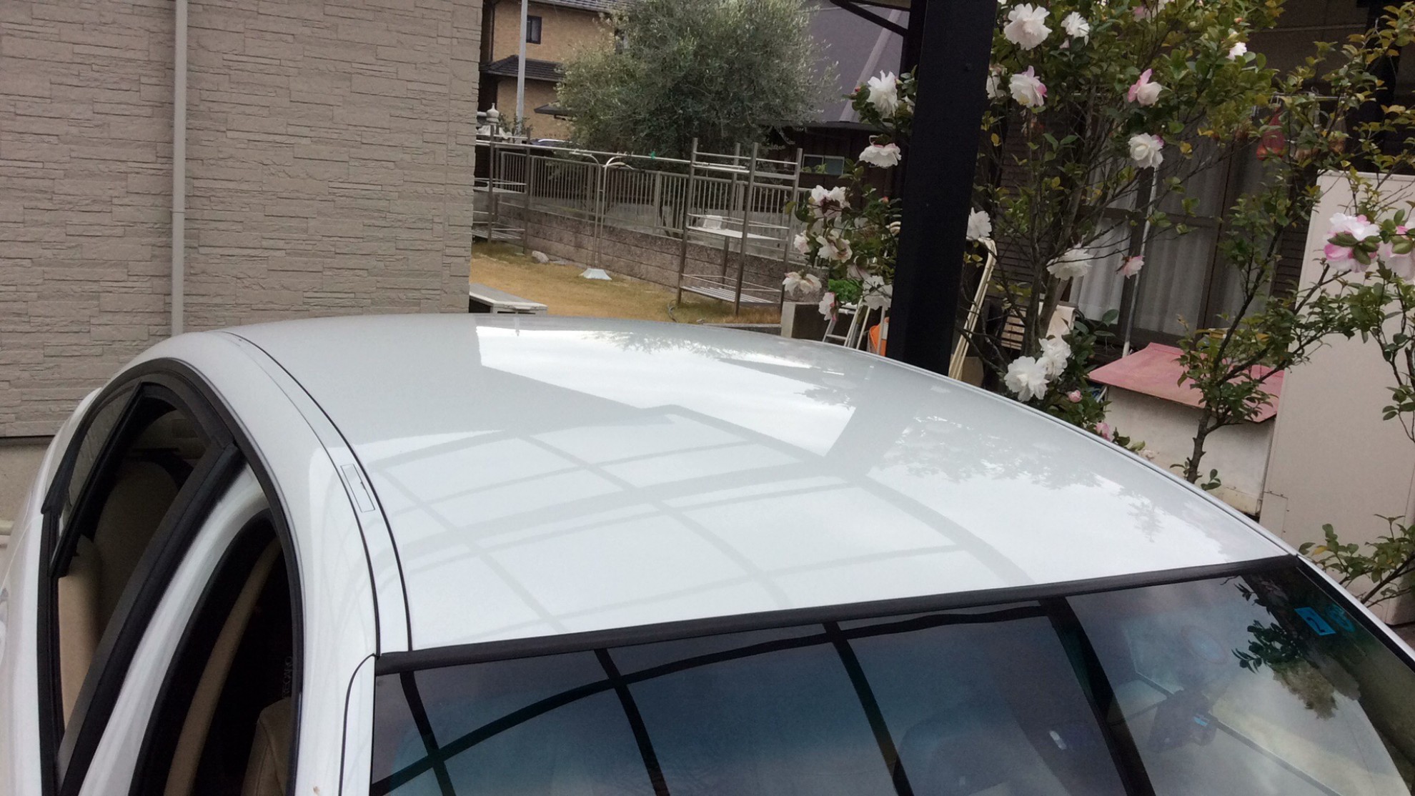 正面ルーフ