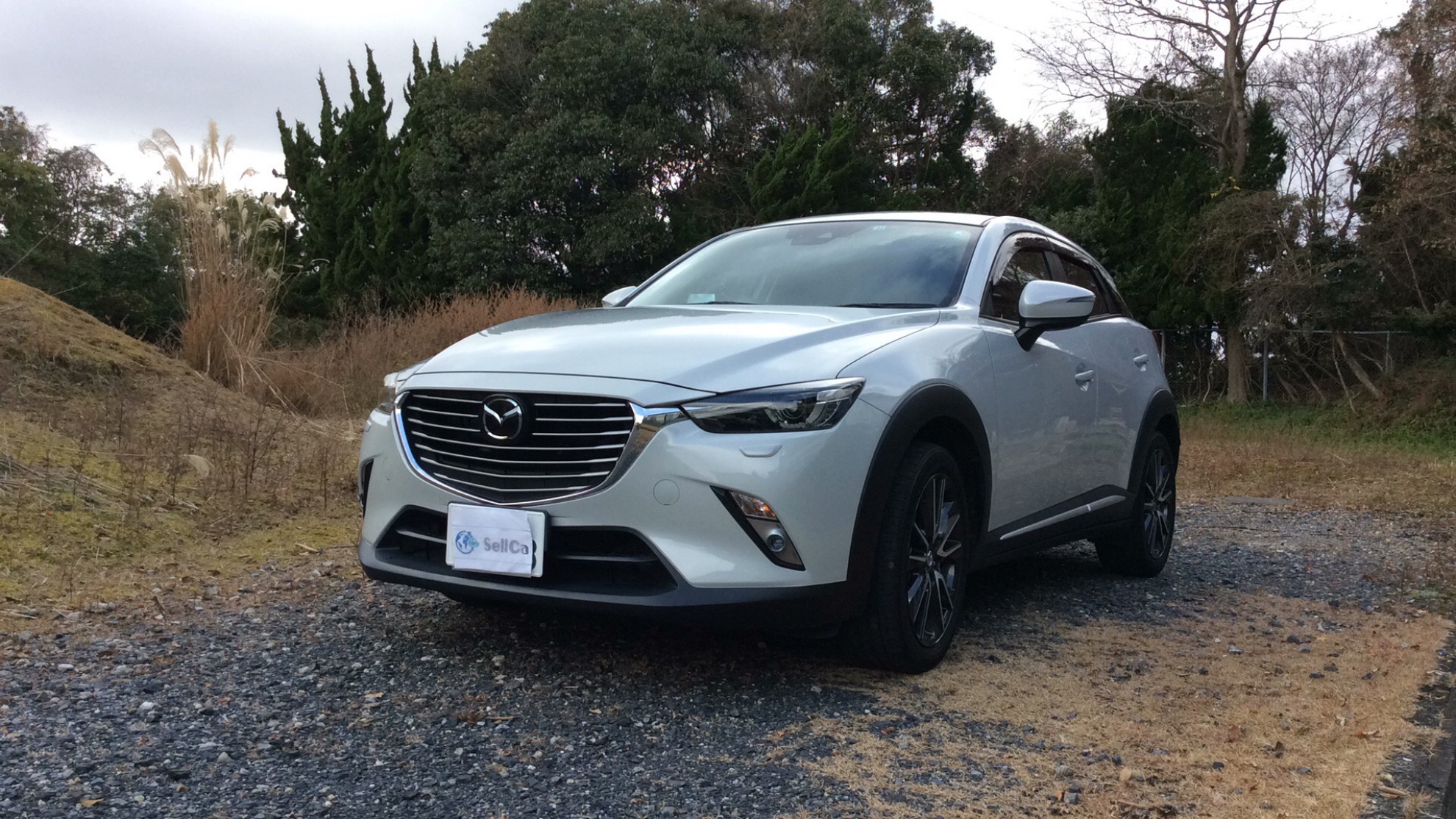 マツダ ＣＸ－３の売買実績画像