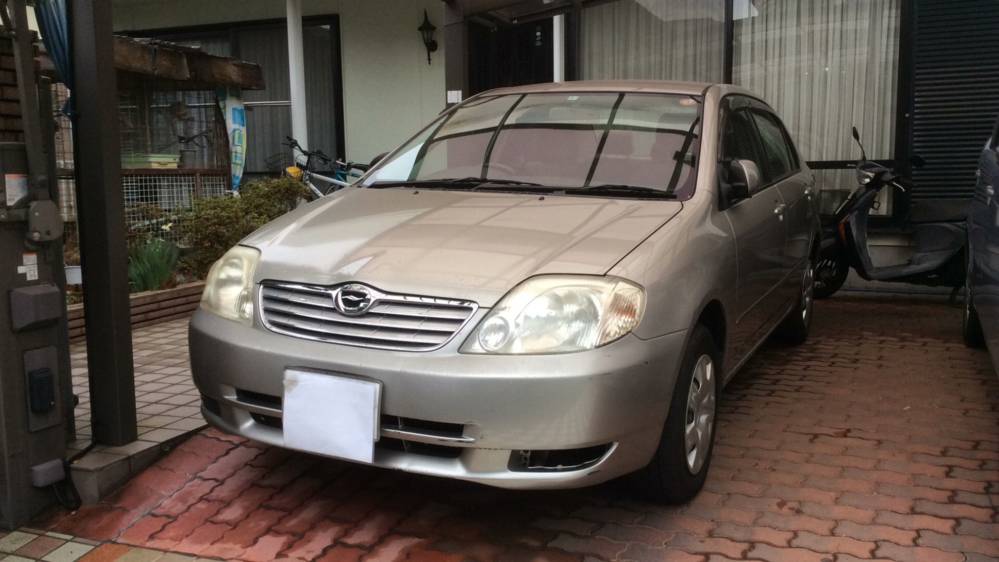 トヨタ カローラの売買実績画像