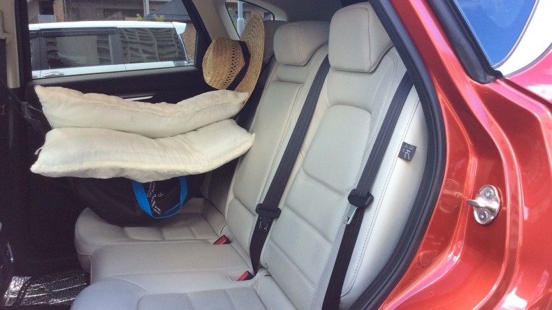 内装後方シート