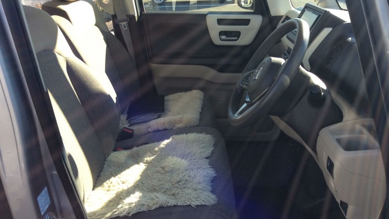 内装前方シート