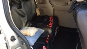 内装後方シート