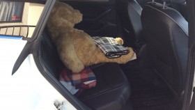 内装後方シート