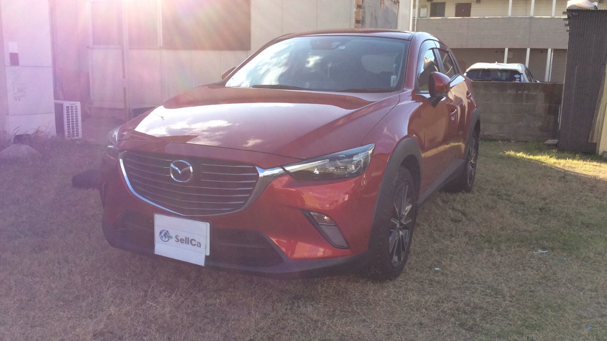 マツダ ＣＸ－３の売買実績画像