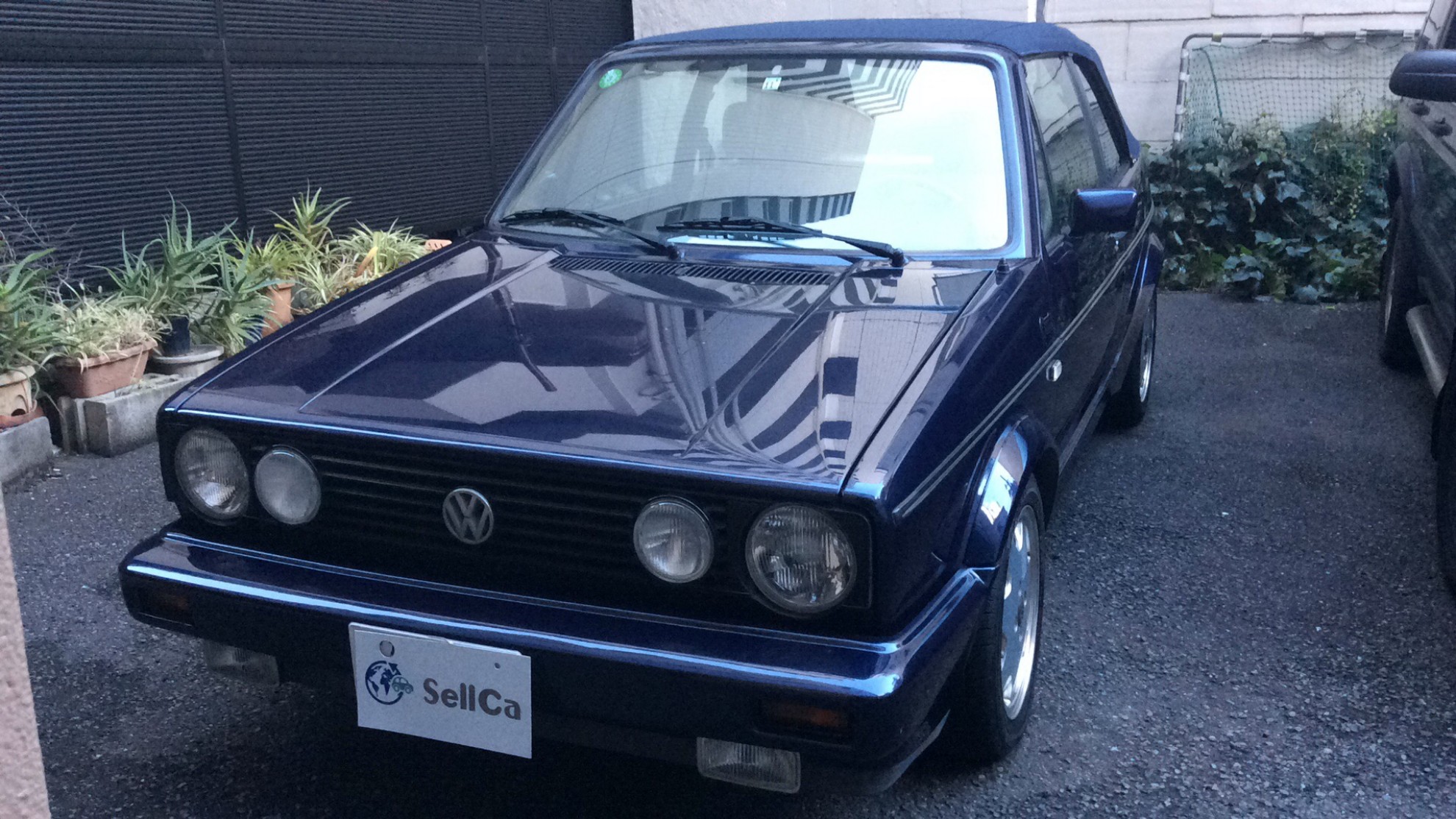 フォルクスワーゲン ゴルフカブリオの売買実績画像