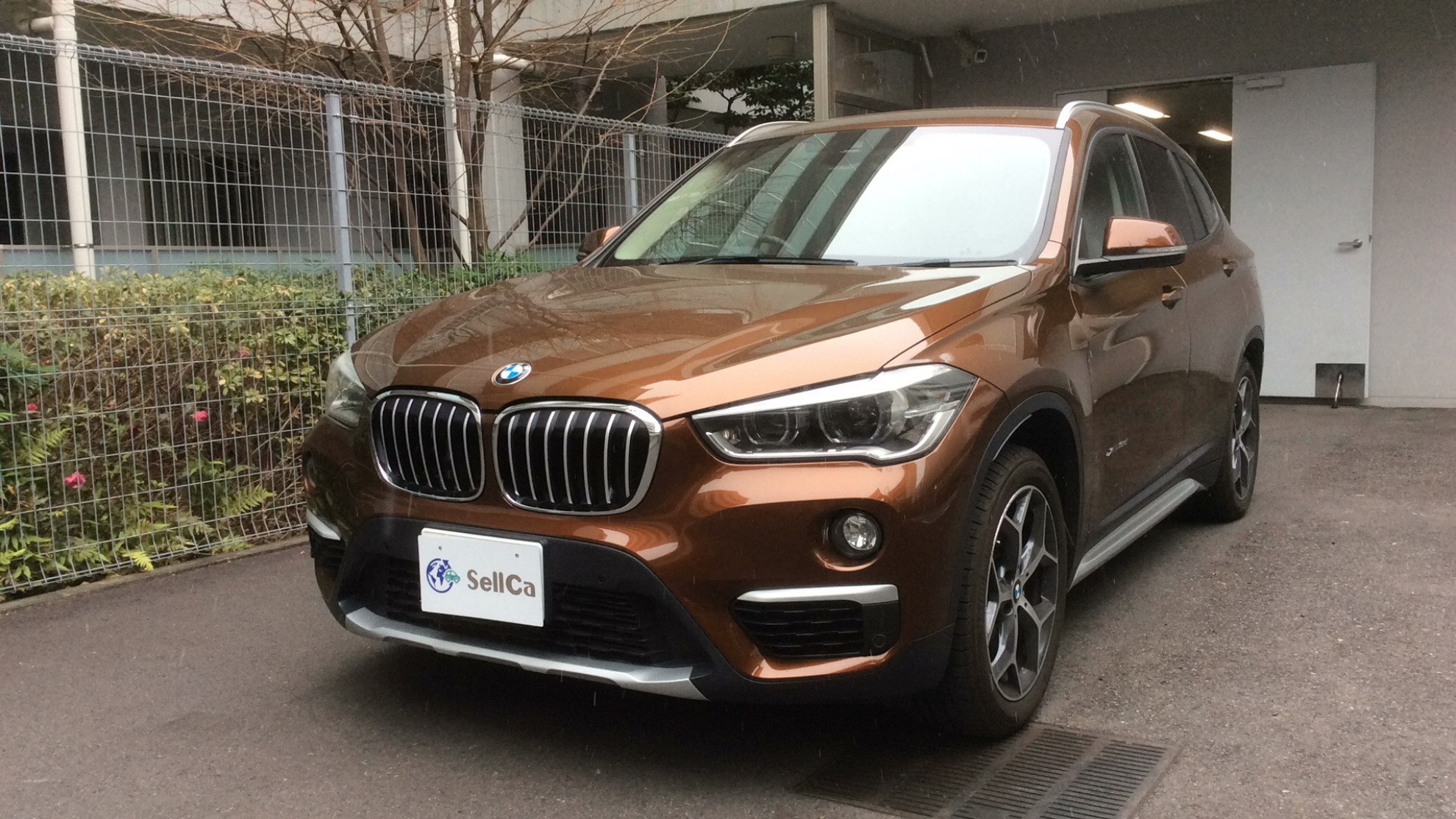 ＢＭＷ Ｘ１の売買実績画像